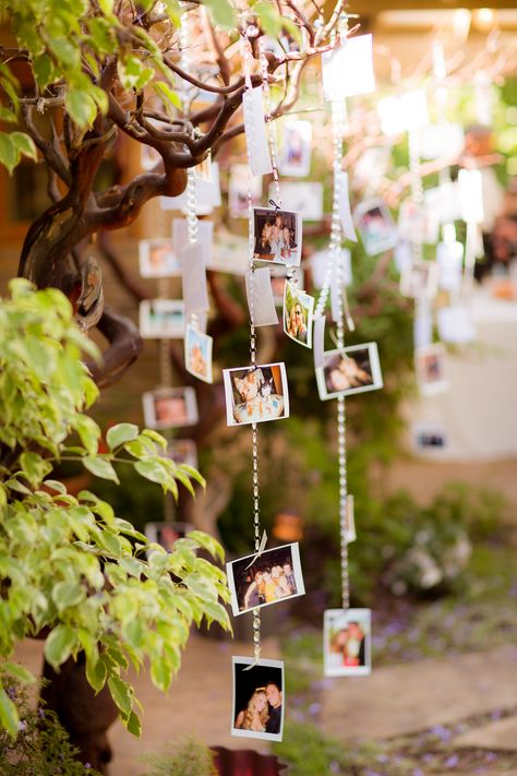 Photos Hanging From Tree, Photo Decoration Wedding, Hanging Photos Wedding, Prom Garden Party, Wedding Childhood Photo Display, Topper Wedding Dress, Wedding Family Tree, Wedding Drop Box, Round Wedding Tables