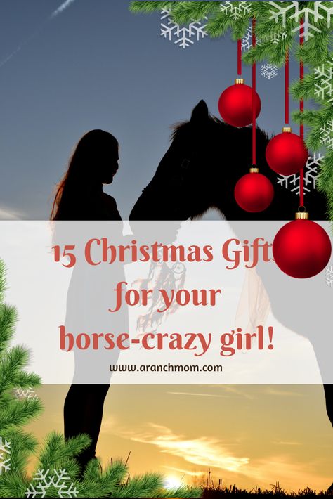 15 Christmas gifts for your horse-crazy girl! Horse Crazy Girl, Cowgirl Gifts, Sparkly Prom Dresses, Christmas Horses, Prom Dresses Elegant, Horse Crazy, Christmas Gifts For Girls, Be Prepared, Horse Girl