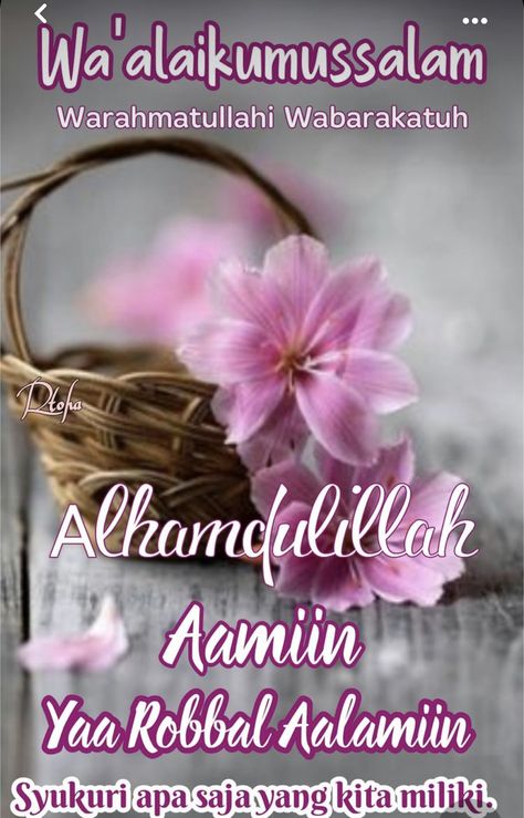 Wa Alaikumussalam Images, Jumuah Mubarak Quotes, Muslim Greeting, Birthday Wishes Greetings, Happy Birthday Wishes Photos, Assalamualaikum Image, Beautiful Good Night Images, Happy Birthday Wishes Images, Good Morning Beautiful Images