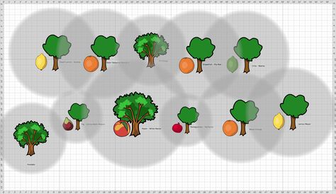 Small Home Orchard Layout, Citrus Orchard Layout, Beautiful Orchard Design, Orchard Planning Design, Planning An Orchard, Hazelnut Farm, Citrus Orchard, Fruit Orchard, Orchard Design