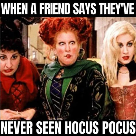 sanderson sisters meme - when a friend says they've never seen hocus pocus Halloween Meme, Hate Summer, Spooky Memes, Fall Memes, Halloween Memes, I Love Fall, Disney Memes, Cool Halloween Costumes, Memes Humor