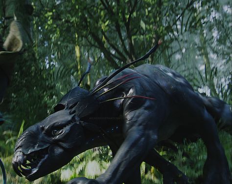 Avatar Animals, Avatar 2009, Avatar James Cameron, Avatar Films, Avatar Fan Art, Ark Survival Evolved, Pandora Avatar, Alien Design, Avatar Movie