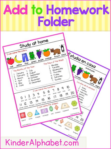 Freebielicious: Homework Folder FREEBIE Prek Homework, Kindergarten Homework Folder, Focus Activities, Homework Binder, Preschool Homework, Homework Folders, Homework Log, Ingles Kids, Kindergarten Homework