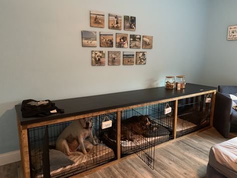 Dog Kennel Inside House, 3 Dog Kennel Ideas Indoor, 3 Dog Kennel Ideas, Living Room With Dog Crate, Stacked Dog Crates, Multiple Dog Kennel Ideas Indoor, Large Dog Kennel Ideas Indoor, Indoor Kennels For Dogs, Dog Kennel Inside