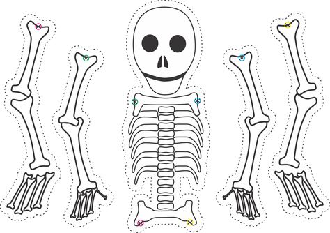 Dry bones skeleton puppet template; for Ezekiel Ezekiel Dry Bones, Ezekiel Bible, Skeleton Puppet, Puppet Template, Skeleton Craft, Dry Bones, Bible Crafts For Kids, Sunday School Activities, Childrens Bible