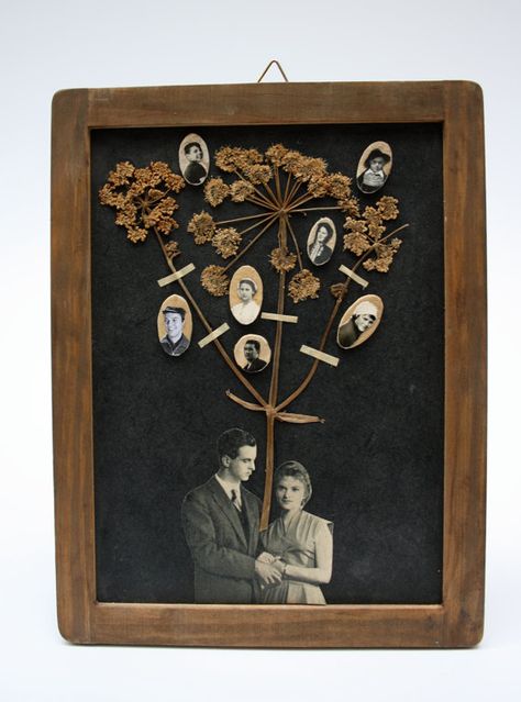 Diy Family Tree, Family Tree Ideas, Ancestry Art, Family Tree Art, Kindred Spirit, Family Roots, Family Trees, Graphic Inspiration, Family Album