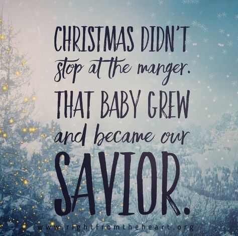 Christian Christmas Quotes, Advent Scripture, Story Of Christmas, Christmas Verses, December Quotes, Christmas Scripture, Christmas Prayer, Happy Sabbath, Talk Shows