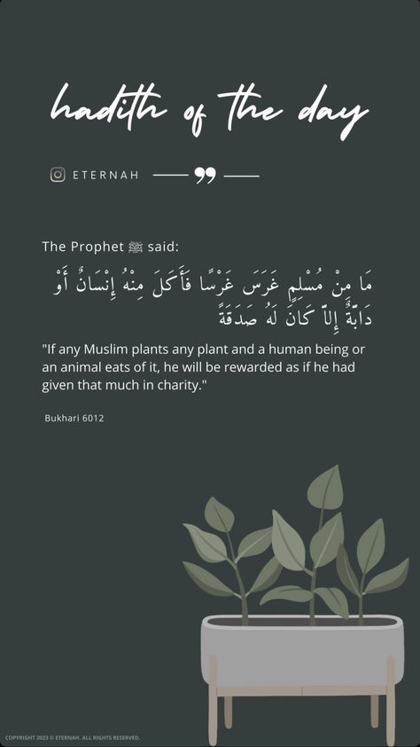 Dua Of The Day, Islamic Lockscreen, Ramadan Hadith, Beautiful Hadith, Quran Notes, Islamic Aesthetics, Ramadan Bujo, Poetry Wallpaper, Faith Quotes Inspirational