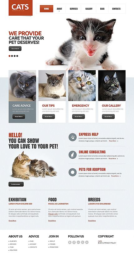 Website Template #cats #drupal Cat Website, Pet Businesses, Theme Template, Cat Stands, Web Design Tips, Cat Club, Premium Wordpress Themes, Brand Marketing, Web Template