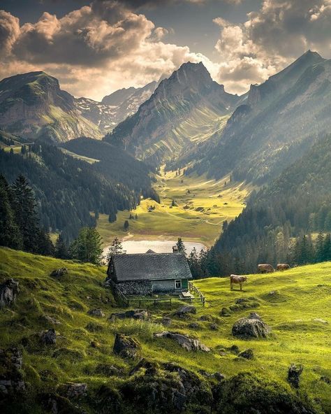 Appenzell, Switzerland Switzerland Photography, Tenda Camping, Beautiful Landscape Photography, Alam Yang Indah, Nature Aesthetic, Mountain Landscape, Amazing Nature, Nature Pictures, Beautiful World