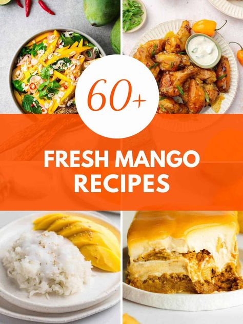 Enjoy 60+ irresistible mango recipes that whisk you away to a tropical paradise. Delight in fresh, flavorful dishes from breakfast to dessert and savor the taste of summer all day long! Keto Mango Recipes, Fresh Mango Recipes, Mango Recipes For Dinner, Recipes With Mango, Pineapple Dessert Easy, Habanero Sauce Recipe, Mango Sushi, Vegan Mango Ice Cream, Mango Popsicle Recipes