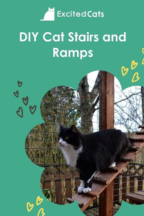 Diy Cat Ramp For Bed, Diy Cat Stairs, Ramps And Stairs, Cat Walkway, Miniature Chihuahua, Excited Cat, Catio Ideas, Cat Ramp, Cat Projects