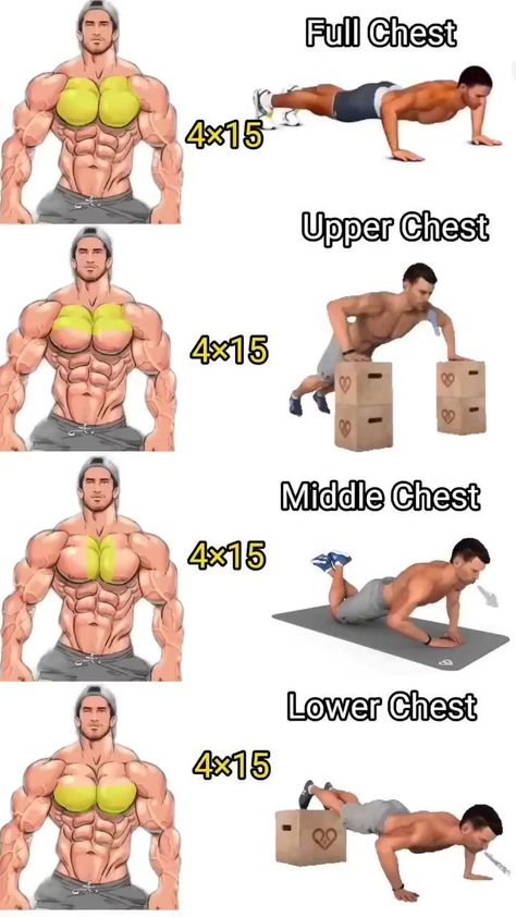 Exercises For Chest, Chest Workout At Home, Gym Workout Guide, House Gym, Latihan Dada, Gym Workout Planner, Bodybuilding Workout Plan, Gym At Home, Gym Workout Chart