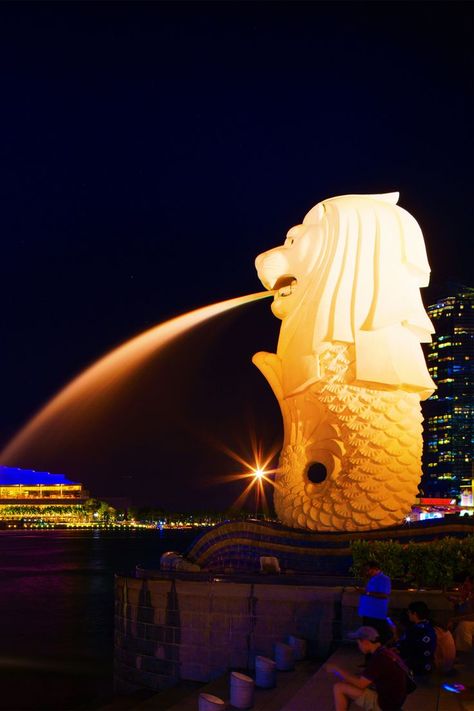 Singapore Merlion Park Night view Singapore Night View, Singapore Merlion, Merlion Singapore, Singapore National Day, Night View, Business District, National Day, Theme Ideas, Travel Ideas