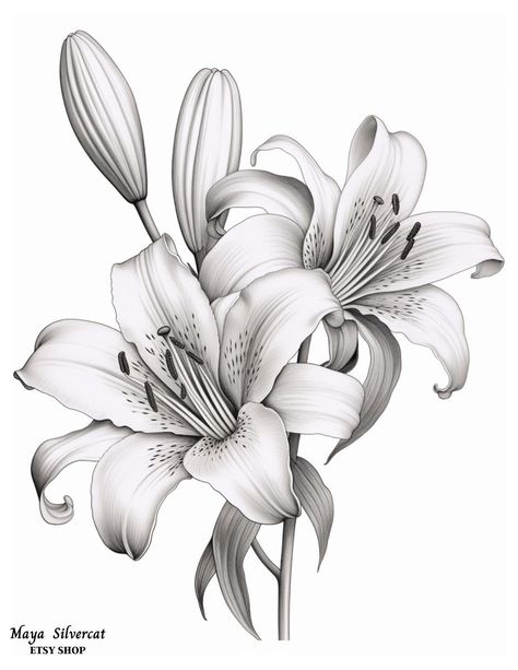 Lilly Tattoo Design, Lilly Flower Tattoo, Realistic Flower Drawing, Lillies Tattoo, Lily Tattoo Design, Lilies Drawing, Lily Flower Tattoos, Japanese Flower Tattoo, Pencil Drawings Of Flowers