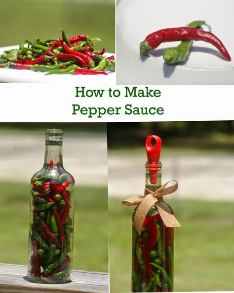 How To Make Pepper Sauce Recipes For, Homemade Hot Pepper Sauce, How To Make Pepper Sauce For Greens, Diy Pepper Sauce, Making Pepper Sauce, Vinegar Pepper Sauce, Hot Pepper Vinegar How To Make, Southern Pepper Sauce, Easy Pepper Sauce Recipe