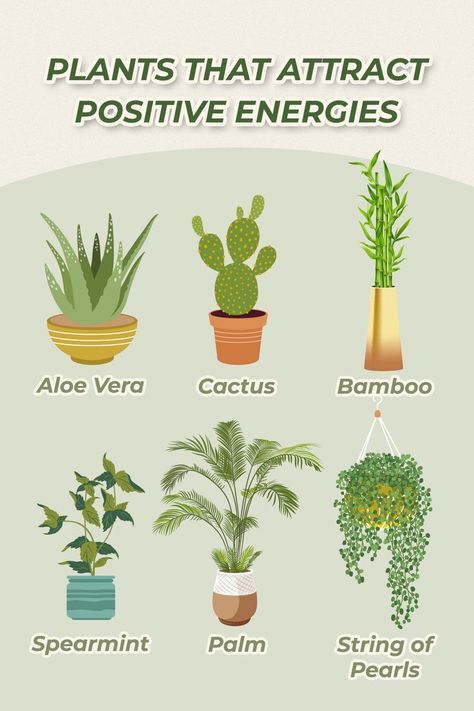 Let the positive vibes begin! With these beautiful plants, you can bring more cheer into your life and those around you. #plantcare #planttips #plantlife #plantlover #britelabsgrowclub #growlights Plants That Bring Positive Energy, Indoor Plant Hacks, Safe House Plants, Easy House Plants, Household Plants, Plant Care Houseplant, Plant Hacks, Healing Plants, Inside Plants