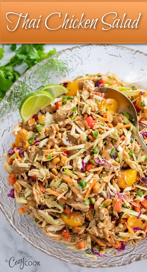 Thai Chicken salad with shredded chicken, peanuts, cabbage, and more. Thai Chicken Salad Wraps, Chopped Thai Chicken Salad, Thai Peanut Slaw, Chicken Dinner Salad Recipe, Chicken Vermicelli Salad, Healthy Thai Chicken Salad, Salad For Chicken Side, Cabbage Salad With Chicken, Thai Chicken Salad Dressing