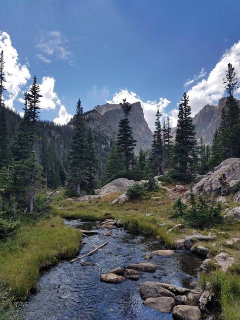 Rocky Mountain National, Rocky Mountain National Park, Pine Trees, Rocky Mountain, Rocky Mountains, Rocky, National Park, Trees, Forest