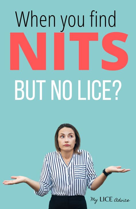 If you are finding nits in your hair, but no lice bugs then this is the article for you. Learn the reasons why and what you should do if you find nits, but no lice If you are new to lice, lice eggs and nits are the same things. What does it mean when you find nits, but no lice in the hair? #myliceadvice # lice #liceeggs #nits How To Get Rid Of Lice, How To Get Rid Of Nits In Hair, Lice Eggs Removal, Lice In Hair, How To Get Rid Of Lice Fast, How To Remove Nits From Hair, How To Remove Lice Eggs From Hair, Getting Rid Of Nits, Dont Care Didnt Ask Plus You Have Lice