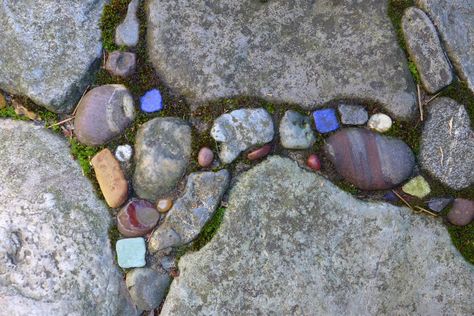 Garden Walkways Pathways, Pebble Mosaic Garden, Mosaic Walkway, Garden Walkways, Garden Pathways, Garden Walkway, Pebble Mosaic, Mosaic Garden, Garden Yard Ideas