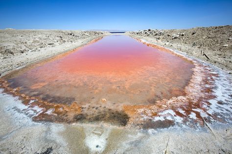 Southern California’s Salton Sea has been neglected for decades, but there’s reason to hope for its restoration. Salton Sea California, Slab City, Salvation Mountain, West Coast Trail, Salton Sea, Desert Life, California Dreamin', Recipe Inspiration, Future Travel