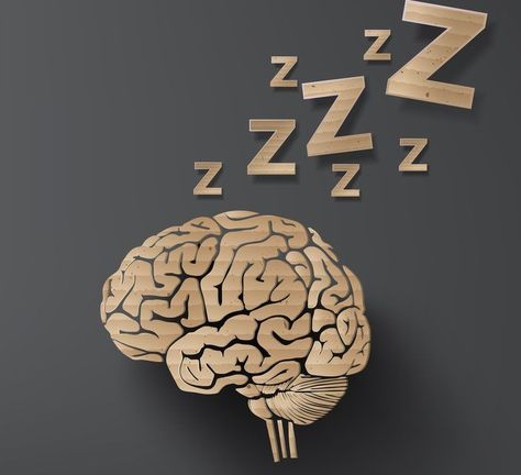 10 Experiments At The Forefront Of Sleep Science Anecdotal Evidence, Hormone Supplements, Brain Booster, Valerian Root, Deep Meditation, Research Studies, Natural Sleep, Improve Memory, Lack Of Sleep