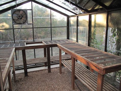 Greenhouse Tables, Greenhouse Benches, Greenhouse Shelves, Green House Ideas, Ormanlık Alan, Shed Greenhouse, Diy Greenhouse Plans, Potting Benches, Greenhouse Interiors