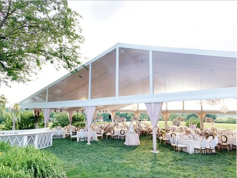 Dreamy blush, gold, white tent with custom blush lining, 10 chandeliers, al fresco bar, glamorous centerpieces & tabletop decor, mixed with the natural green elements and beauty of the country.  tent design: @selecteventgroup planner: @Laurynprattes Photography: @Abbyjiu Custom Bar: @b3design Glamorous Centerpieces, Wedding Tent Decor, Tent Decor, Tent Decorations, Tent Design, Blush Gold, Wedding Tent, Custom Bar, Tabletop Decor