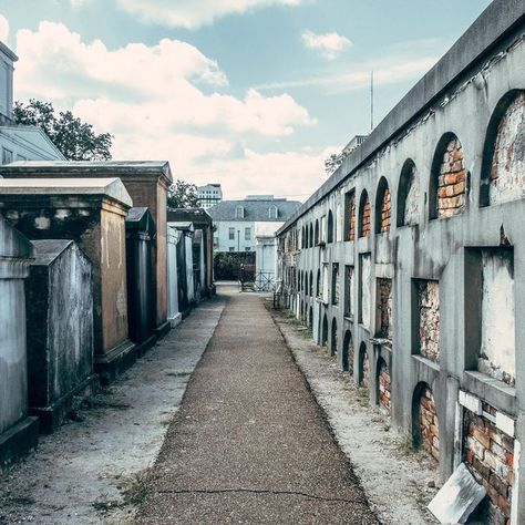 KIM PELLETIER on Instagram: "Saint Louis Cemetery No. 1, New Orleans Louisiana. ✔️ #stlouiscemetery #nola" Cemetery New Orleans, New Orleans Cemeteries, Southern Gothic, New Orleans Louisiana, Saint Louis, Cemetery, Louisiana, New Orleans, No 1