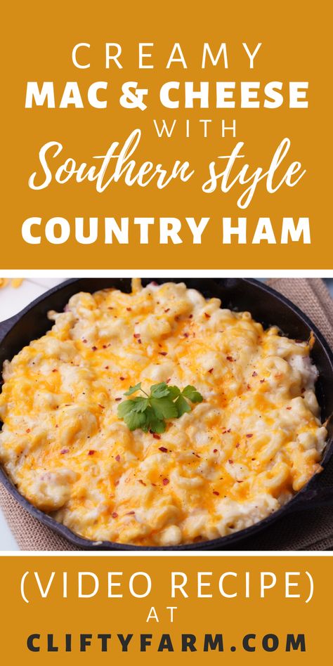 This creamy mac and cheese loaded with country ham makes one amazing addition to meal time! #cheeselover #sidedish #macandcheese #countryham Mac And Cheese With Ham, Ham Mac And Cheese, Cheese Homemade, Homemade Mac And Cheese, Country Ham, Creamy Mac And Cheese, Ham Recipes, Cheese Lover, Day Of The Week