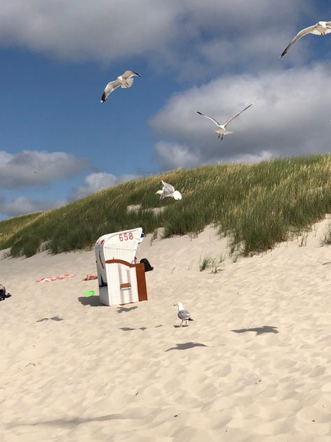 #beach #summer #amrum #germany #seagulls #ocean #dunes Dream Place, Coastal Granddaughter, Summer 24, Summer Holidays, Beach Summer, Summer Holiday, Scandinavia, Summer 2024, Perfect Summer