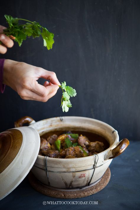 Clay Pot Dry Bak Kut Teh / Pork Ribs Tea Bak Kut Teh, Clay Pot, Pork Ribs, Clay Pots, Food Photo, Comfort Food, Food And Drink, Bee, Tea