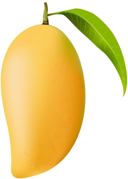 Mango Images Fruit, Mango Painting, Mango Png, Mango Images, Mango Leaf, Best Png, Color Worksheets For Preschool, Leaf Png, Drinks Packaging Design