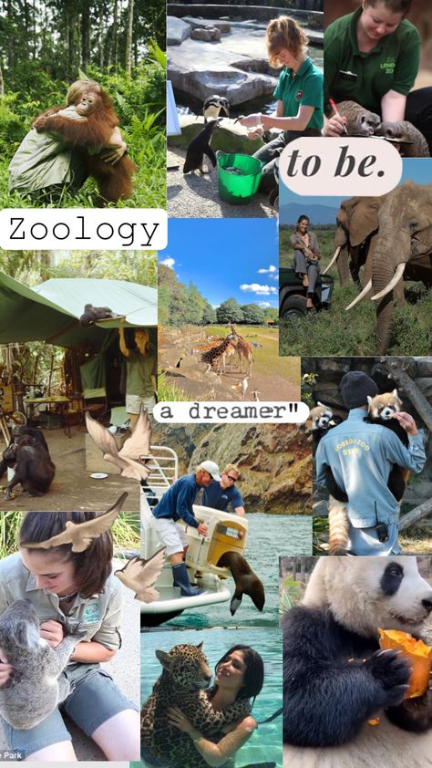 Dream job #zoologist #zoology #animals #visionboard #visions Animal Career Aesthetic, Wildlife Zoologist Aesthetic, Marine Zoologist Aesthetic, Zoologist Aesthetic Wallpaper, Animal Jobs Career, Vet School Outfits, Animal Behaviorist Aesthetic, Studying Zoology Aesthetic, Zoology Major Aesthetic