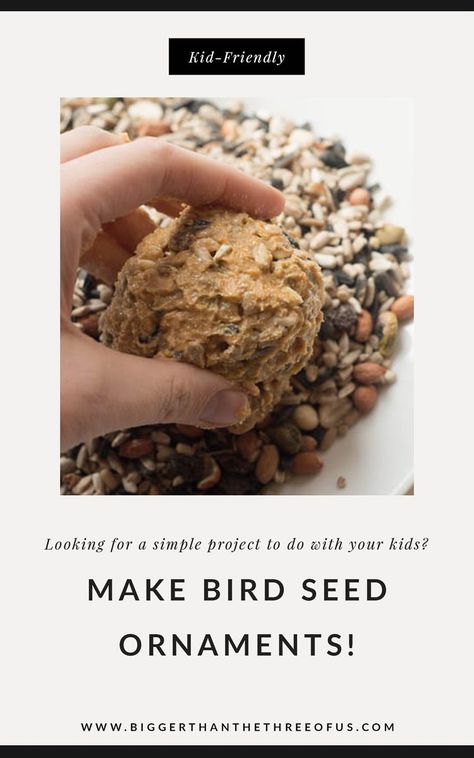 Bird Seed Crafts, Bird Seed Ornaments Recipe, Seed Ornaments, Bird Seed Ornaments, Bird Seed Feeders, Seed Balls, Homemade Bird Feeders, Bird Treats, Christmas Homemade