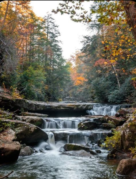 Kentucky Hiking, Kentucky Attractions, Kentucky Vacation, Kentucky Travel, Red River Gorge, Ultimate Bucket List, Waterfall Hikes, Marvel Shirt, Vacation Places