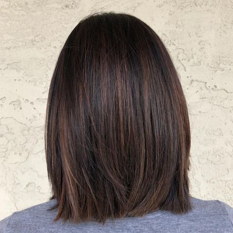 Jet Black Bob Haircut, Long Bob Asian, Long Bob Balayage Brunette, Dark Brown Hair With Highlights Straight, Dark Lob, Long Bob Hairstyles Straight, Long Bob Cut, Dark Brown Bob, Short Brown Bob