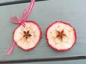 Dried Apple Slices Decoration, Apple Ornaments Diy, Dried Apple Ornaments, Dried Apples In The Oven For Decoration, Apple Crafts For Adults, Apple Ornaments, Apple Cidar, Apple Centerpieces, Dehydrated Fruits