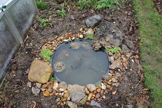 Allotment Design, Obedient Plant, Be One With Nature, Allotment Ideas, Allotment Garden, Late Summer Flowers, Allotment Gardening, Backyard Gardens, Small Backyard Gardens