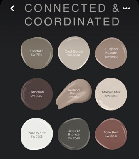 Paint Colors That Go With Rustic Wood, Signature Wall Design, Rustic Color Palette For Home Interiors, Rustic Chic Color Palette, Brown And Gray Paint Schemes, Color Schemes For Small Spaces, Earthy Paint Color Palette, Boho Home Paint Colors, Cocoa Paint Colors