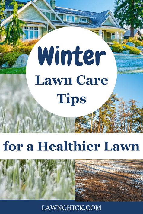 Even though your lawn may well be covered in snow all winter, that doesn't mean you don't have to worry about it. Some of the main parts of winter lawn care is actually preparation you do before the winter hits. As we discuss here, there are certain steps you should do to your lawn before the ice and snow starts. Read this blog post to learn everything you need to do to keep your lawn healthy over the winter months, so it's in the best possible shape for spring. What To Do In Winter, Winter Lawn Care, Lawn Striping, Jonathan Green, Types Of Grass, Lawn Care Tips, Healthy Lawn, Soil Health, Grass Seed