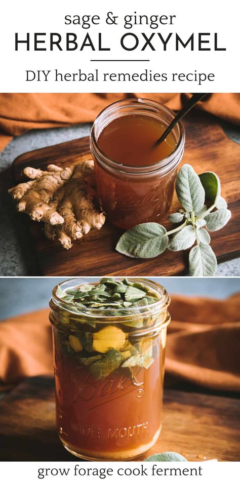 Sage Herbal Remedies, Infused Honey For Colds, Herbal Remedies Recipes Immune System, Honey Fermented Ginger, Diy Infused Honey, Medicinal Tincture Recipes, Sage Oil Recipe, Herbal Remedies For Fever, Apothecary Recipes Herbal Medicine