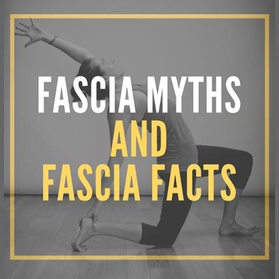 What Is Fascia, Fascia Stretching, Tissue Biology, Fascia Blasting, Fascia Blaster, Neck Tension, Yoga Movement, Foam Rollers, Yoga World