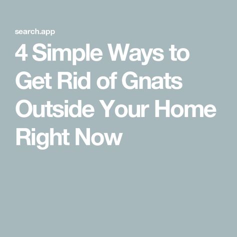 4 Simple Ways to Get Rid of Gnats Outside Your Home Right Now Get Rid Of Gnats Outside, Getting Rid Of Nats, How To Get Rid Of Gnats, Enjoy Time, Simple Way, Bugs, Right Now, The Outsiders, Plants