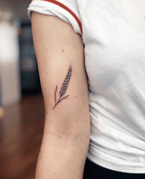 Rustic Tattoo, Barley Tattoo, Wheat Tattoo, Secret Tattoo, Autumn Tattoo, Ancient Tattoo, Tattoo Meaning, Tree Tattoo, First Tattoo