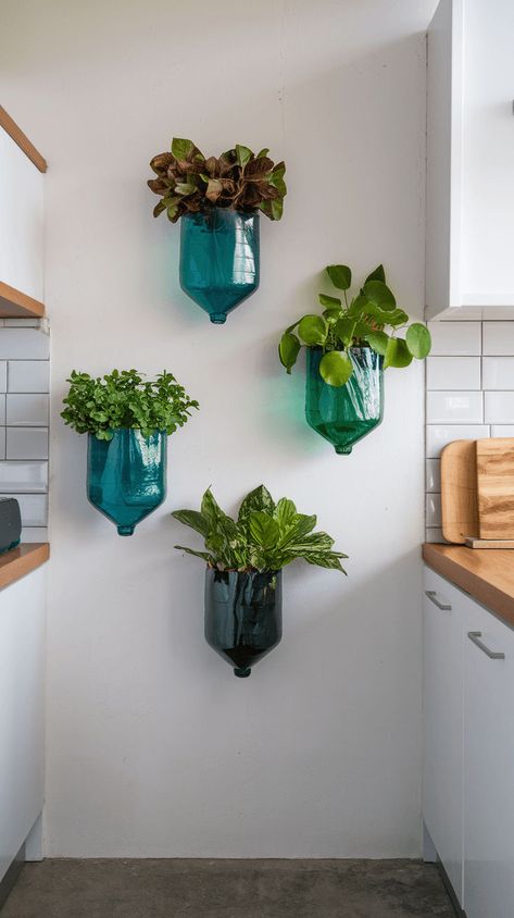 Transform plastic bottles into hanging or wall-mounted planters. Click to see how recycling meets indoor gardening! #recycledgarden #diyplanters Diy Hanging Bottle Planter, Diy Wall Mounted Planter, Plastic Bottle Planter, Indoor Gardening Ideas, Diy Hanging Planter, Wall Mounted Planters, Plant Store, Shell Planter, Hanging Planters Indoor