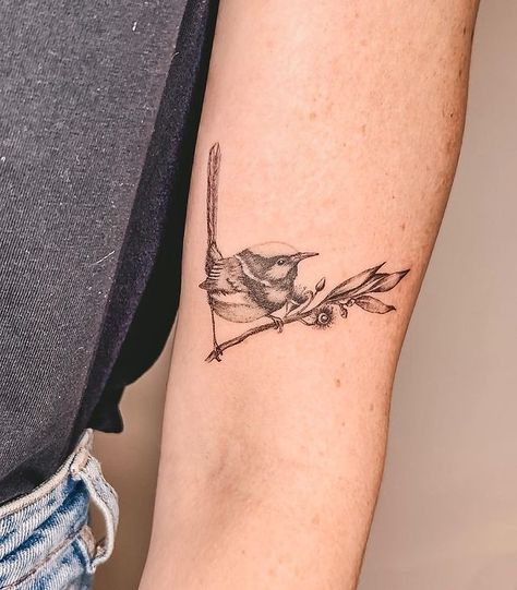 Fine line Tattoo | Single needle Tattoo Perth | fairy wren 💙 #birdtattoo #fairywren #fineline #finelinetattoo #veganink #vegan #thetinyvegan #fortheanimals #tattooartist | Instagram Wren Tattoo, Tattoo Single Needle, Needle Tattoo, Fairy Wren, Native Tattoos, Single Needle Tattoo, Fine Line Tattoo, Line Tattoo, Birds Tattoo