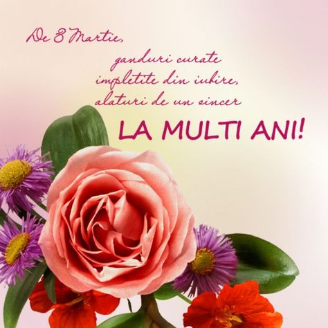 Felicitări 8 Martie 2020. Cele mai frumoase urări pentru mamă, soție și iubită Goodnight Texts, 8 Martie, French Flowers, Happy Birthday Messages, Birthday Messages, Happy Birthday, Baby Shower, Media, Birthday