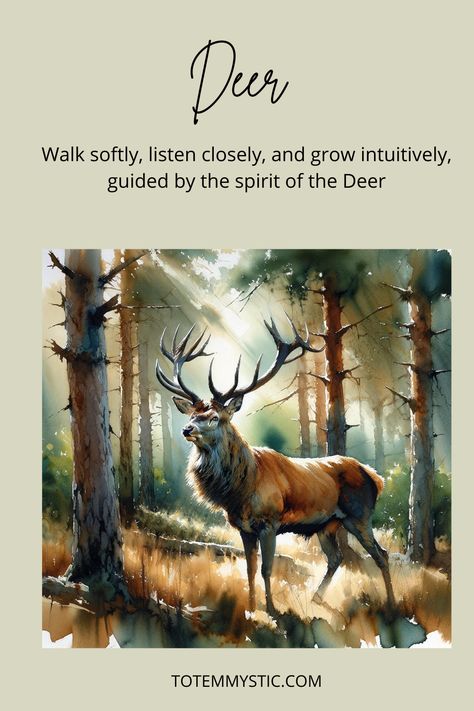 Deer, gentle creatures of sensitivity and intuition, guide you to inner peace. Embrace the deer spirit for a touch of gentleness in your life. #spirit animal #spiritual meaning #totem #power animal Deer Totem Spirit Animal, Deer Meaning Spirit Animal, Stag Spirit Animal Meaning, Deer Spirit Animal Meaning, Deer Spirit Animal, Deer Spirit, Spirit Animal Meaning, Totem Animals, Animal Meanings